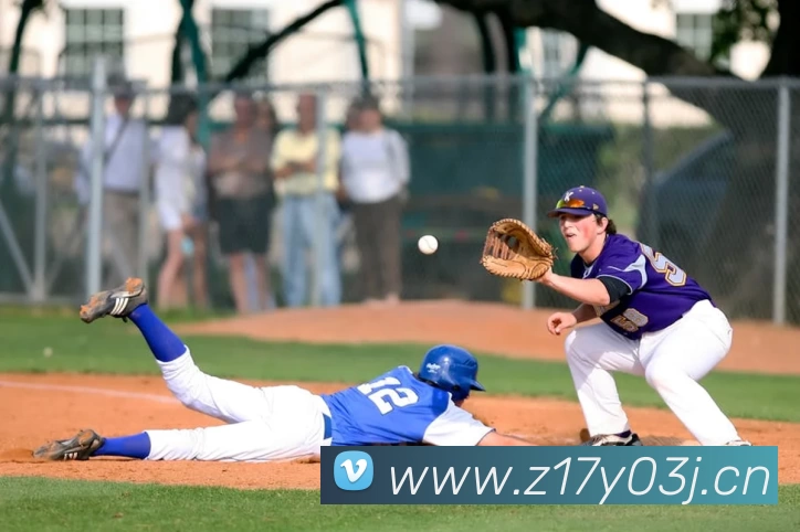 滚球买球的app官网服务体系